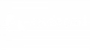 andseed logo blanco