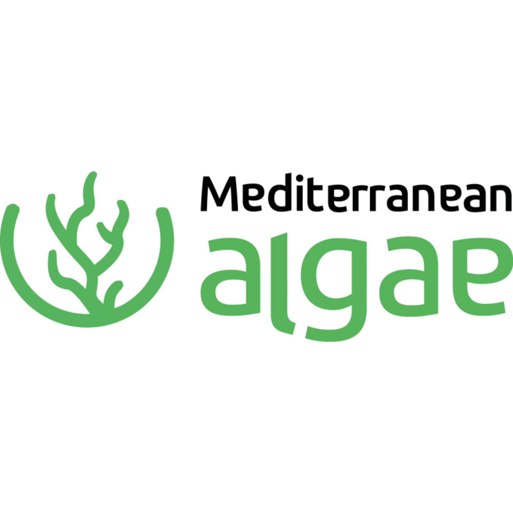Mediterranean Algae