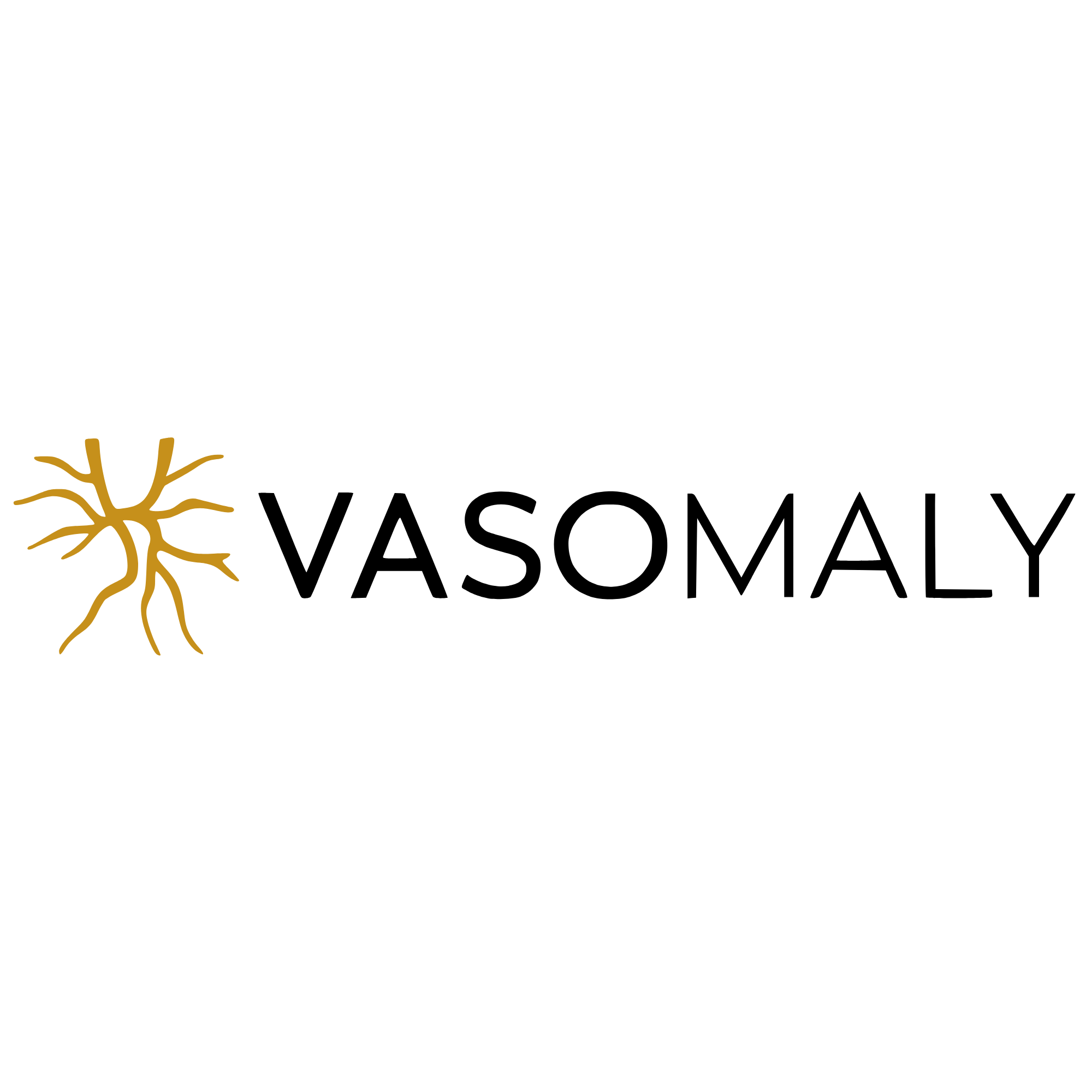 Vasomaly