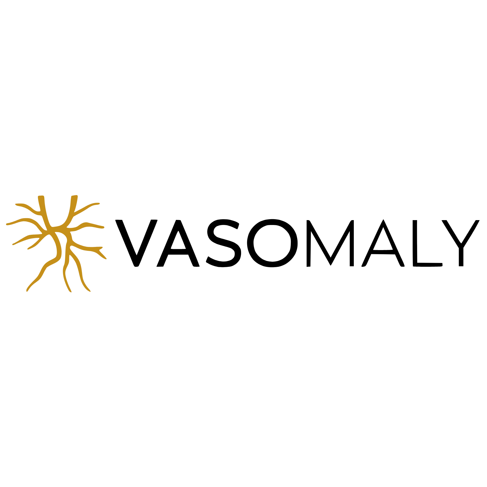 Vasomaly