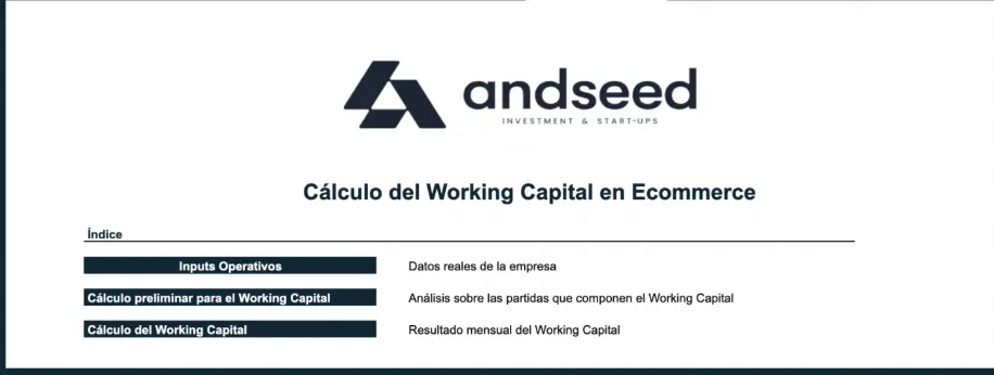 plantilla working capital ecommerce