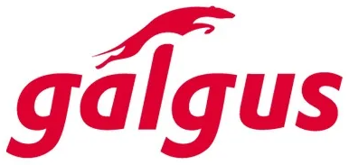 Galgus